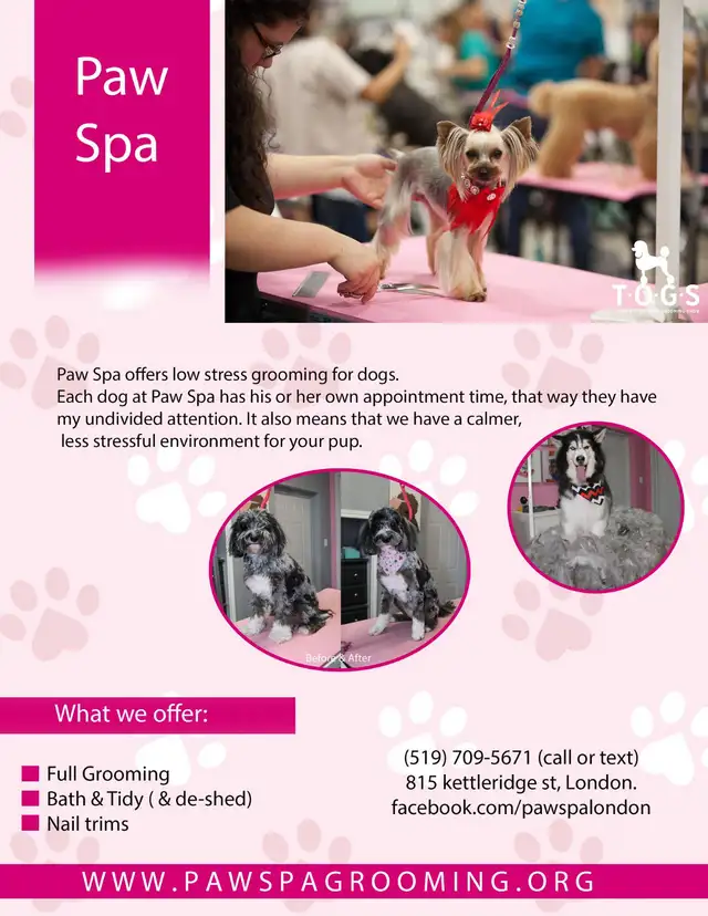 Paw Spa Pet Grooming (one on one, low stress appointments)