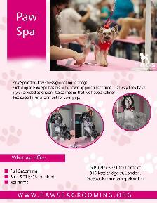 Paw Spa Pet Grooming (one on one, low stress appointments)