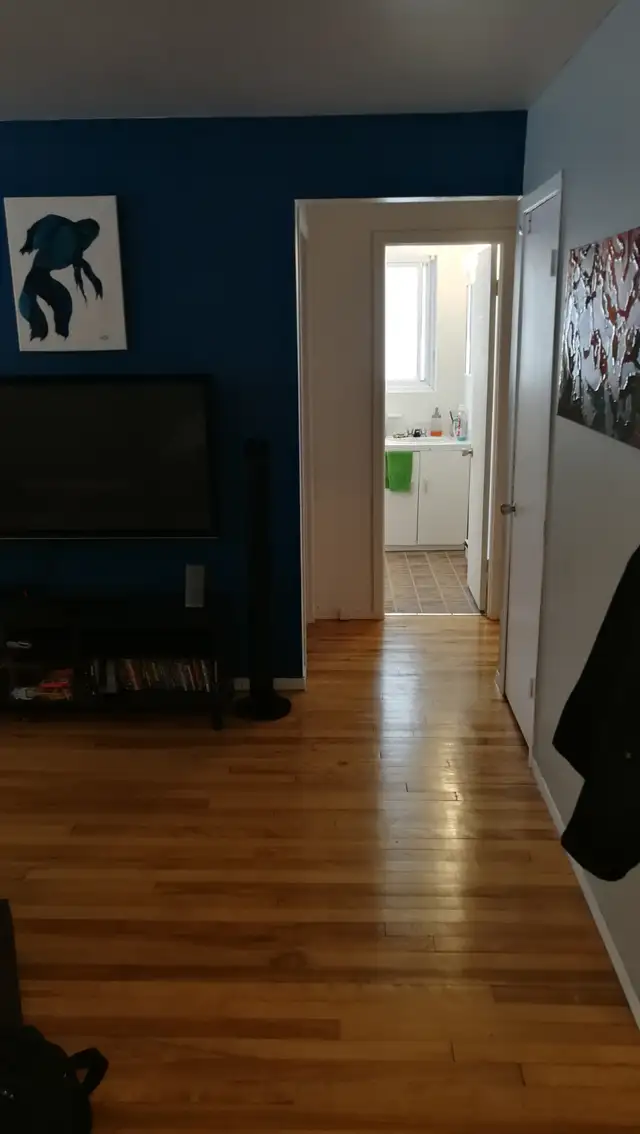 Longueuil, Fréchette magnifique 31/2 spacieux pour juillet - Photo 3