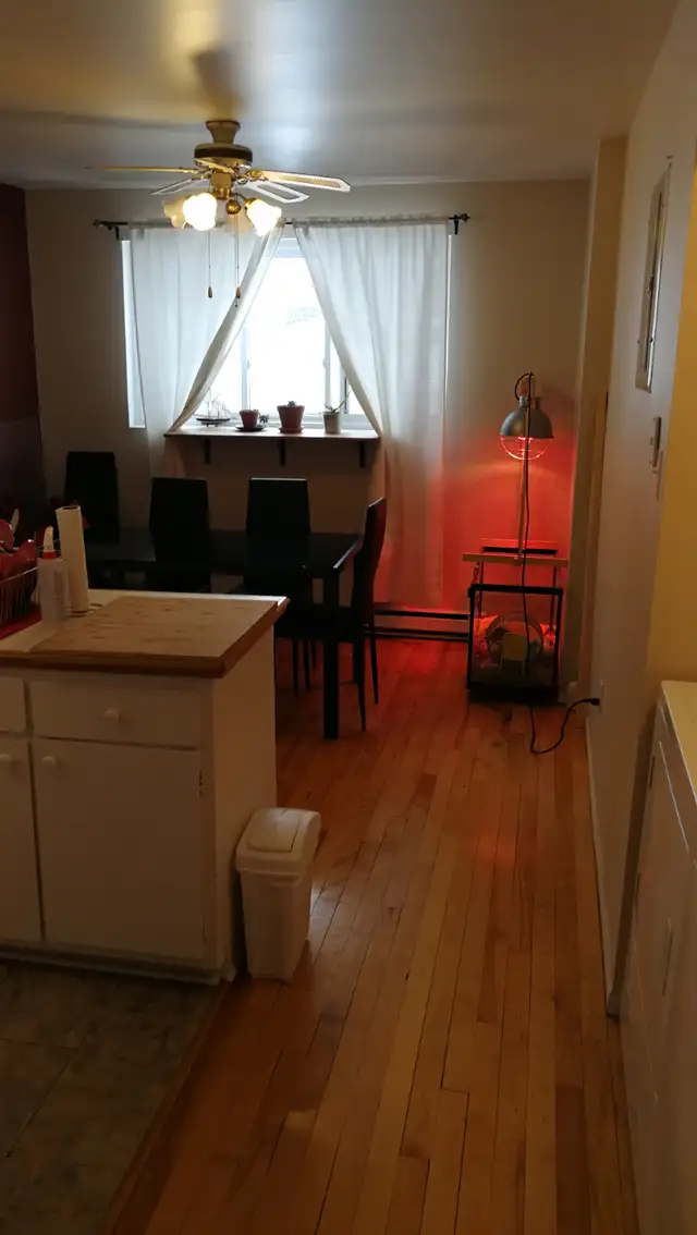 Longueuil, Fréchette magnifique 31/2 spacieux pour juillet - Photo 4