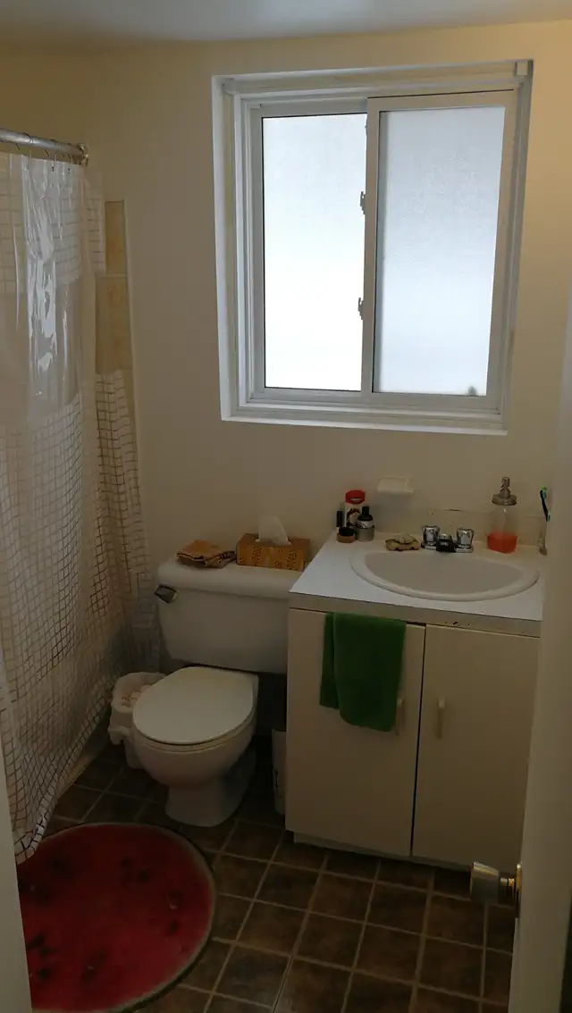 Longueuil, Fréchette magnifique 31/2 spacieux pour juillet - Photo 9