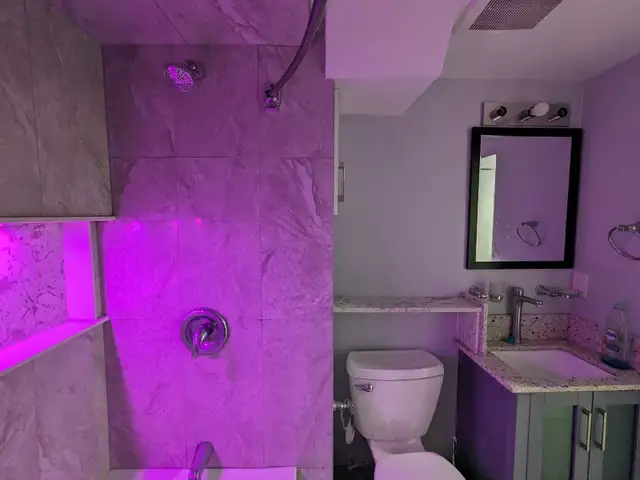 Furnished LUXURY Apartment FREE UTILITIES - Photo 6