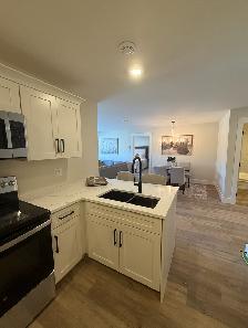 NOW LEASING – Brand New 2 Bed 2 Bath Luxury Suites! - Photo 3