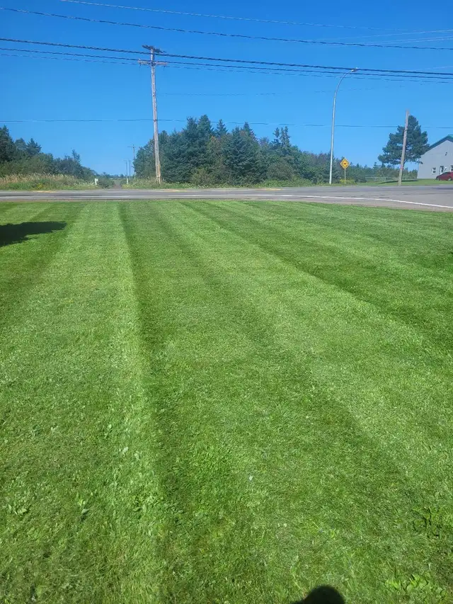Grass Cutting - Photo 2