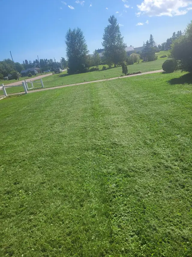 Grass Cutting - Photo 4