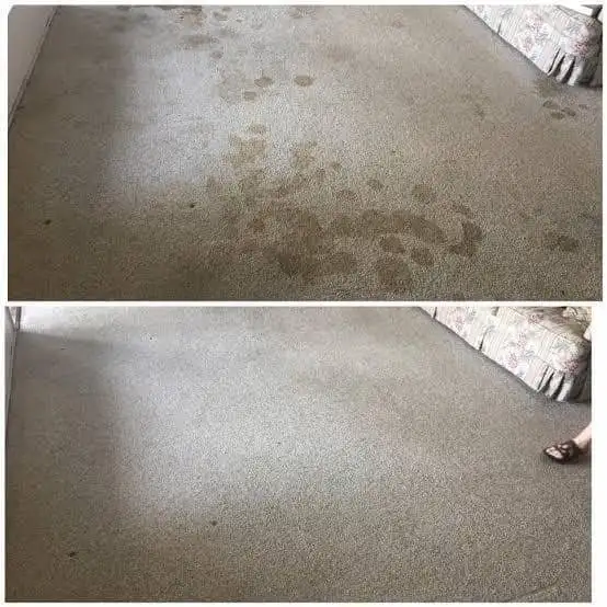 Let's Get Your Carpet And Sofa Cleaning Done With Professionals