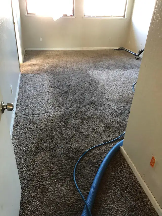 Let's Get Your Carpet And Sofa Cleaning Done With Professionals - Photo 2