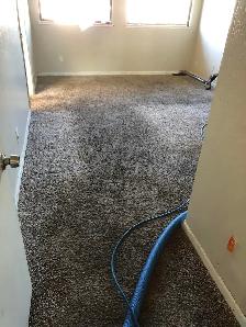 Let's Get Your Carpet And Sofa Cleaning Done With Professionals - Photo 2