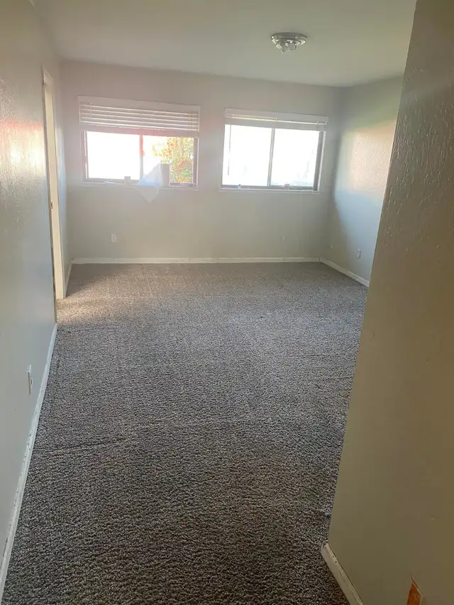 Let's Get Your Carpet And Sofa Cleaning Done With Professionals - Photo 3