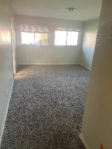 Let's Get Your Carpet And Sofa Cleaning Done With Professionals - Photo 3