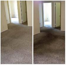 Let's Get Your Carpet And Sofa Cleaning Done With Professionals - Photo 5