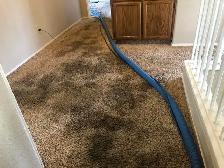 Rug And Carpet Cleaning In GTA
