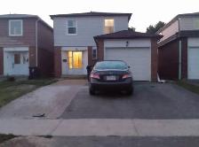 Fully Furnished 2 Bedroom Basement- Midland &Finch (Scarborough)