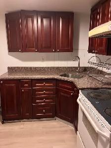 Fully Furnished 2 Bedroom Basement- Midland &Finch (Scarborough) - Photo 3