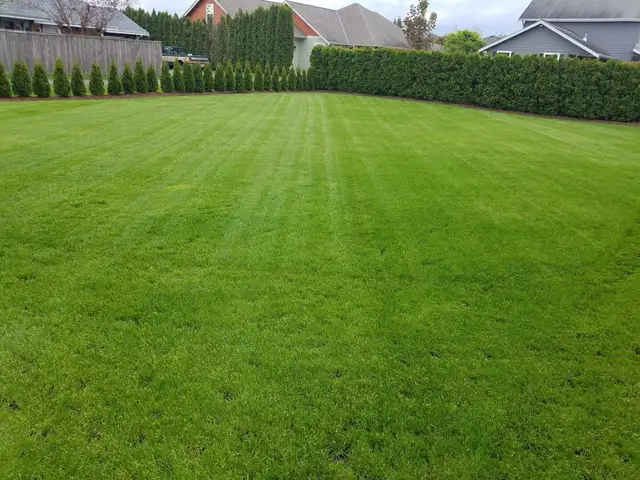 spring cleanup