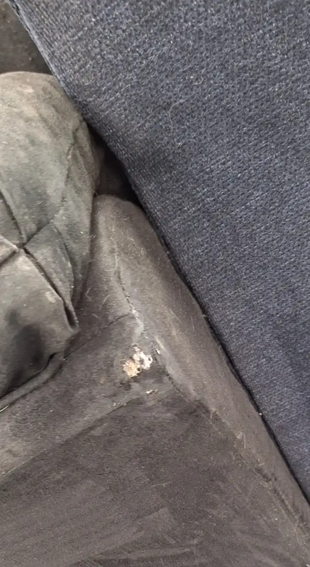 Ashley Darcy Black Sofa/Love Seat - Photo 2