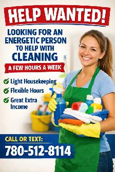Cleaner wanted