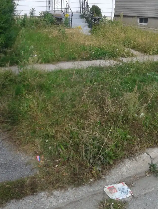 Grass cutting starting at $25 and up - Photo 2