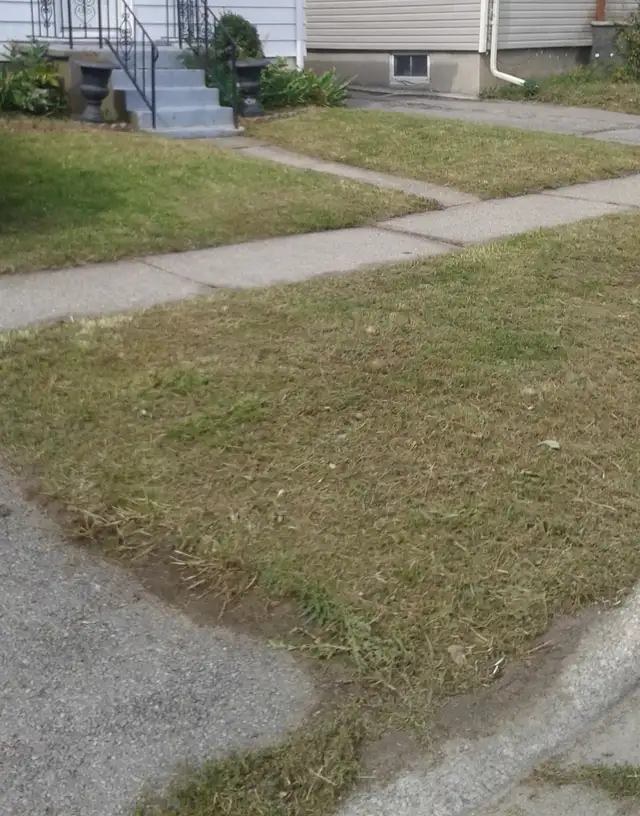 Grass cutting starting at $25 and up - Photo 3