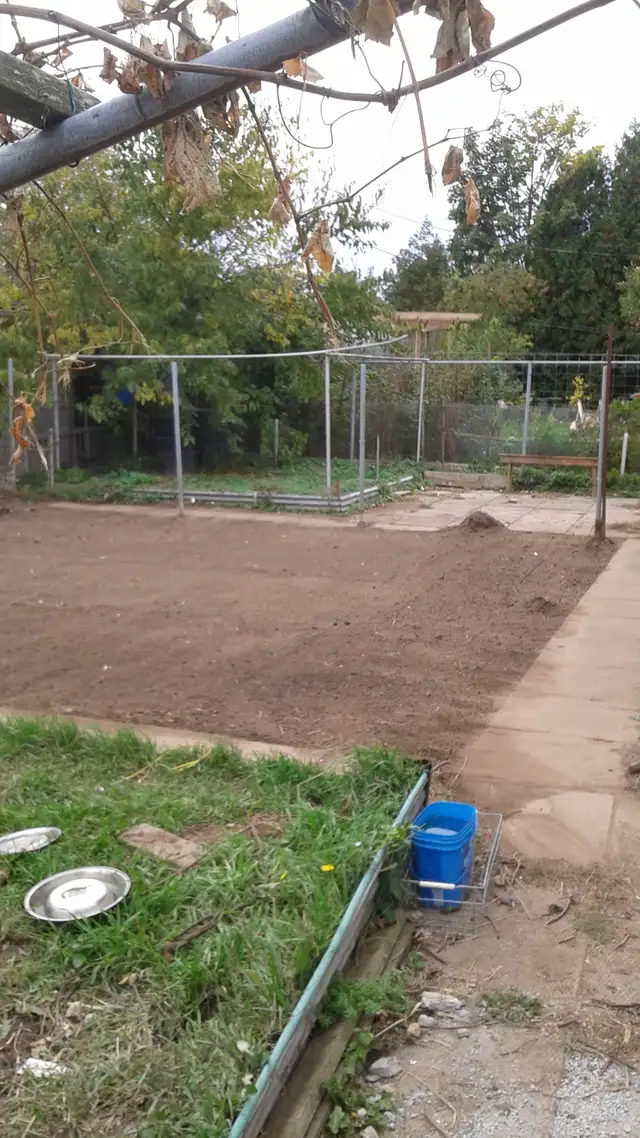 Grass cutting starting at $25 and up - Photo 8