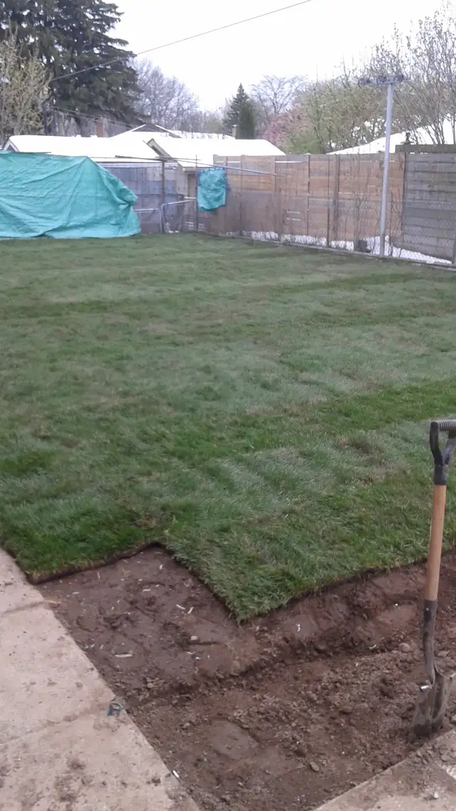 Grass cutting starting at $25 and up - Photo 9