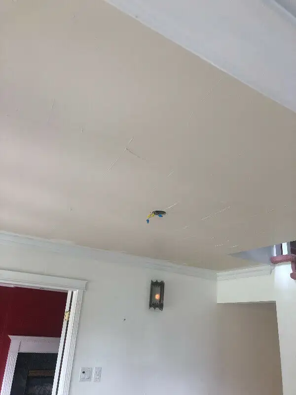 DRYWALL FINISHER (25 years experience). Available to do any job, - Photo 3