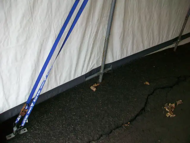 ABRI D'AUTO 4 saisons  10 x 20 - Photo 6