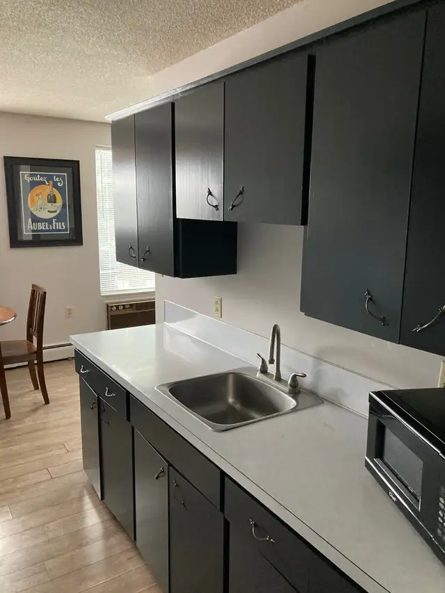 YORKTON 2 BEDROOM Furnished Suite for Rent - Photo 6