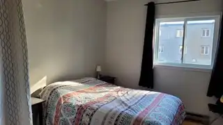 Hochelaga, Maisonneuve 4 1/2 Métro Pie-IX - Photo 5