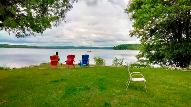 Home Watch - Photo 5