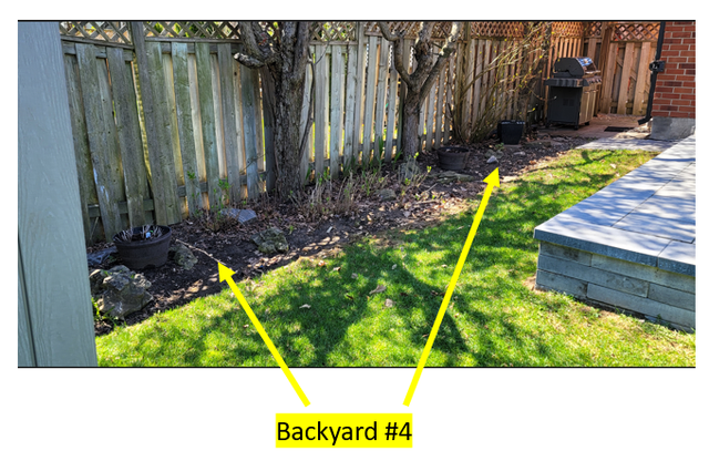 Yard Maintenance Help Wanted in Central Mississauga - Photo 3