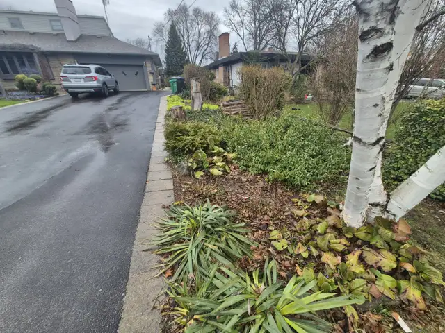 Yard Maintenance Help Wanted in Central Mississauga - Photo 5