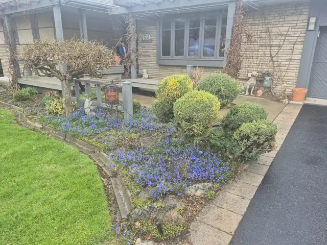 Yard Maintenance Help Wanted in Central Mississauga - Photo 6