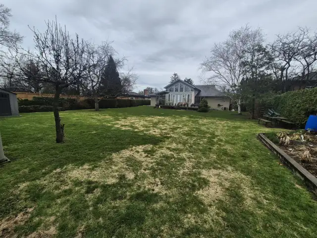 Yard Maintenance Help Wanted in Central Mississauga - Photo 9