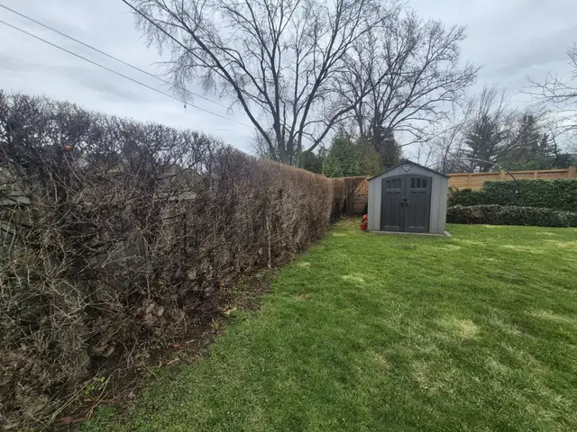 Yard Maintenance Help Wanted in Central Mississauga - Photo 10