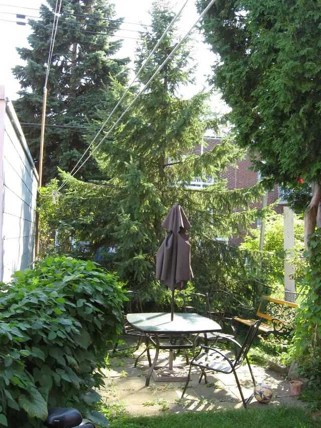 BEAU 4 1/2 RDC PLUS SOUS-SOL LOFT - VERDUN-OUEST ( rue Rolland ) - Photo 10