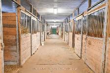 173 Acres | 2 Homes | Waterfall | Equestrian Estate in Muskoka - Photo 9