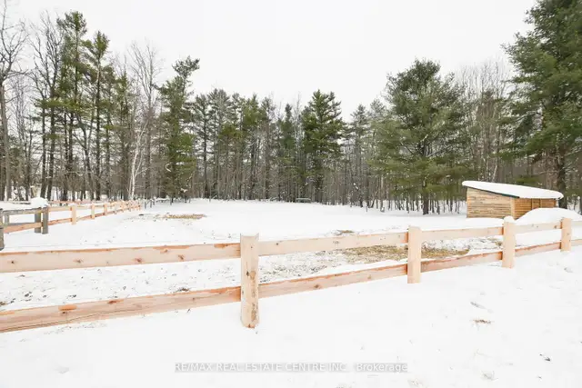 173 Acres | 2 Homes | Waterfall | Equestrian Estate in Muskoka - Photo 10