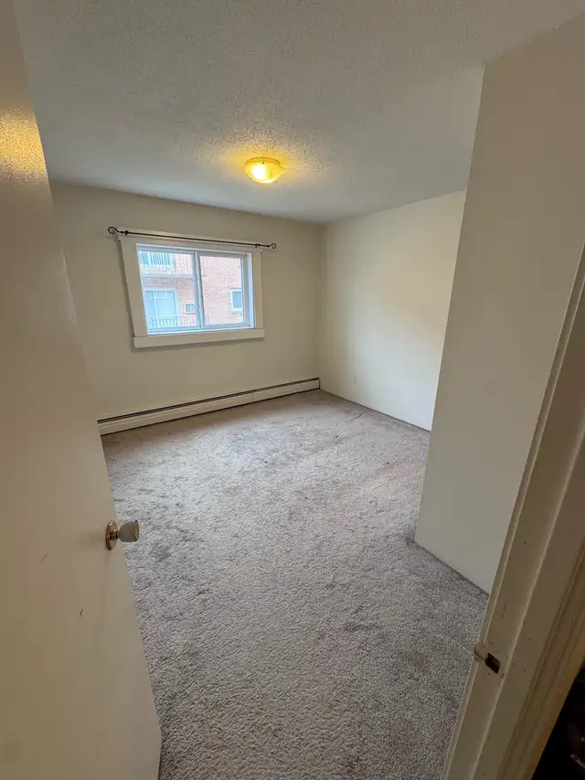 1 bedroom suite in college park - Photo 4