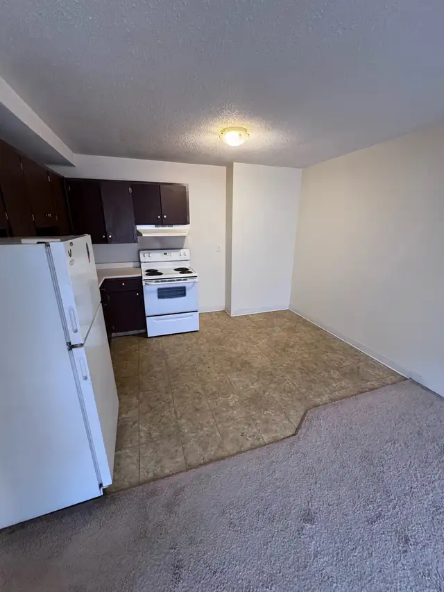 1 bedroom suite in college park - Photo 5