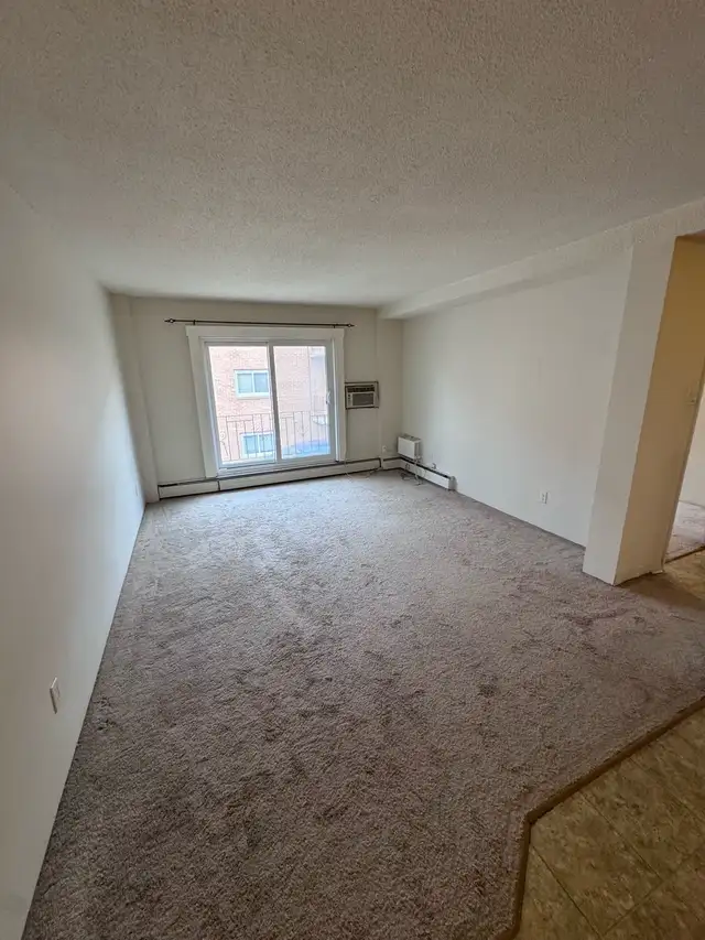 1 bedroom suite in college park - Photo 6