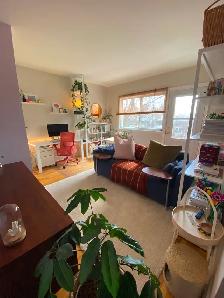 Hochelaga Maisonneuve 41/2, Métro Pie-IX