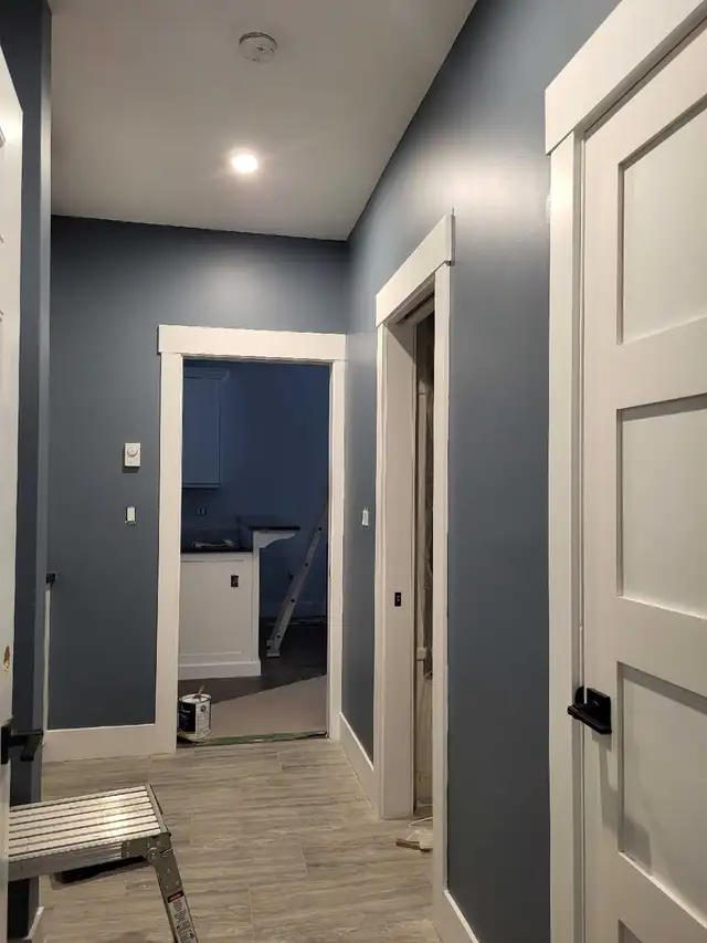 Pro Painting Services