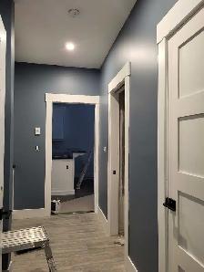 Pro Painting Services