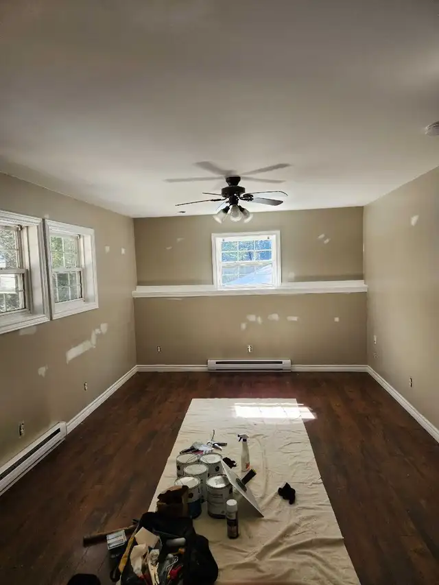 Pro Painting Services - Photo 2