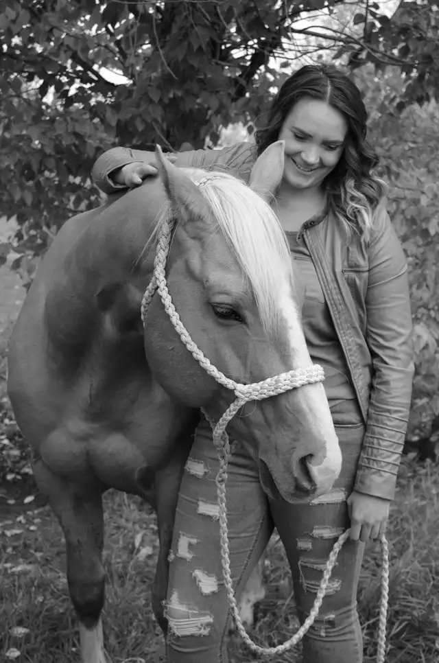 Need help selling a horse? - Photo 9