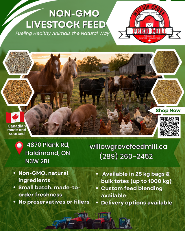 Clean, high-quality NON-GMO livestock feed