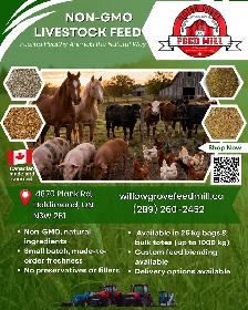 Clean, high-quality NON-GMO livestock feed
