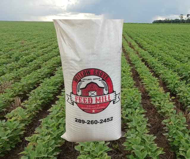 Clean, high-quality NON-GMO livestock feed - Photo 2