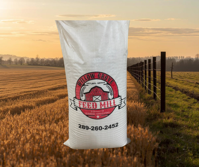 Clean, high-quality NON-GMO livestock feed - Photo 3